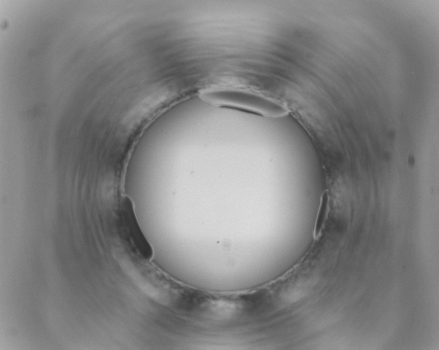 X0000089420352200707061324