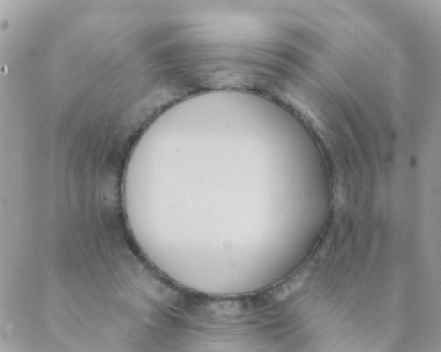 X0000089420353200707061324