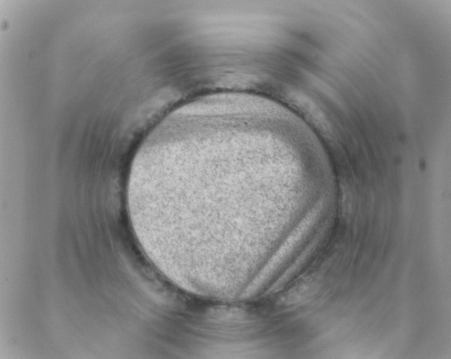 X0000089420354200707061324