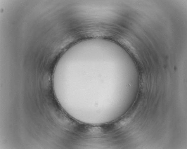 X0000089420355200707061324