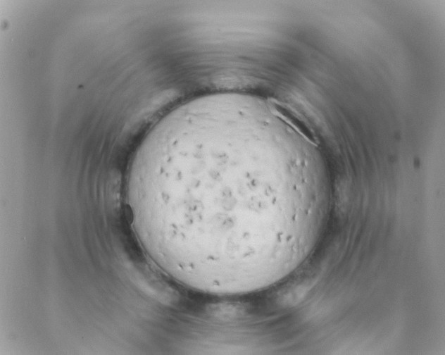 X0000089420356200707061324