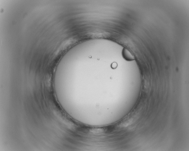 X0000089420357200707061324