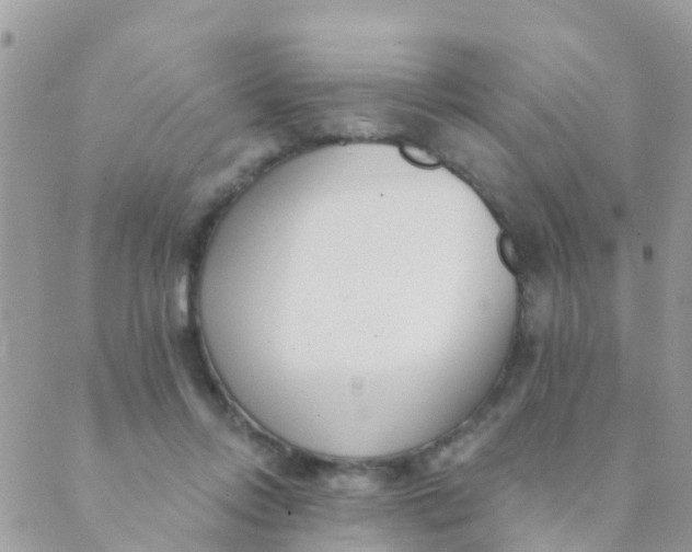 X0000089420358200707061324