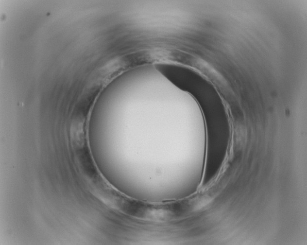 X0000089420360200707061324