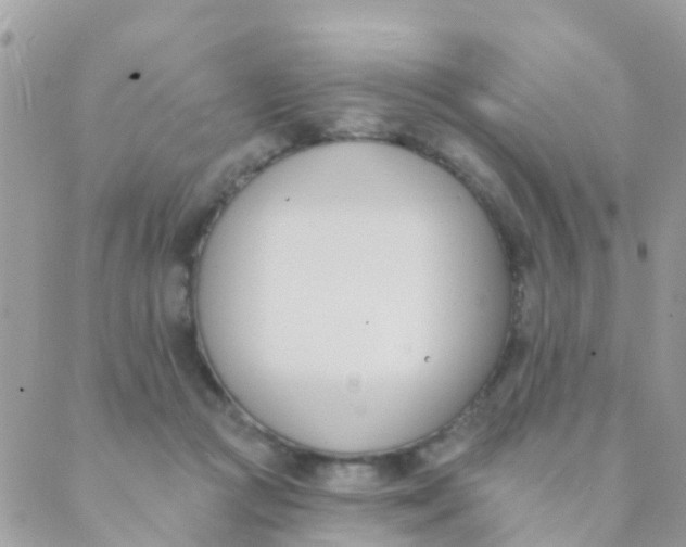 X0000089420361200707061324