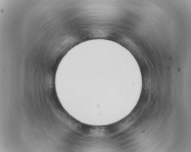 X0000089420362200707061324