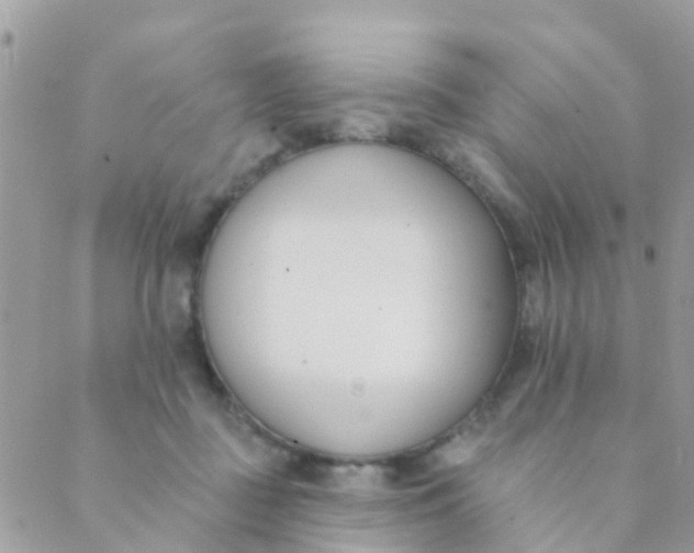 X0000089420363200707061324