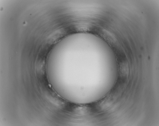 X0000089420364200707061324