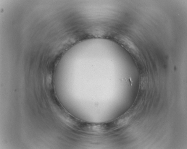 X0000089420365200707061324