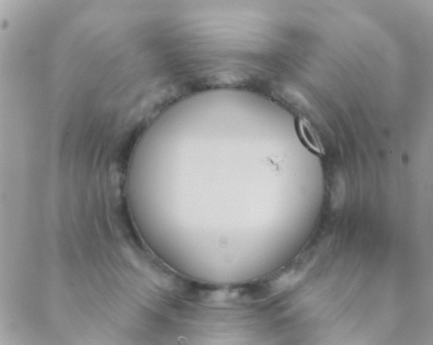 X0000089420366200707061324