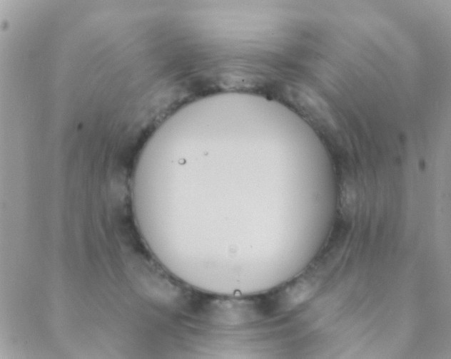 X0000089420367200707061324