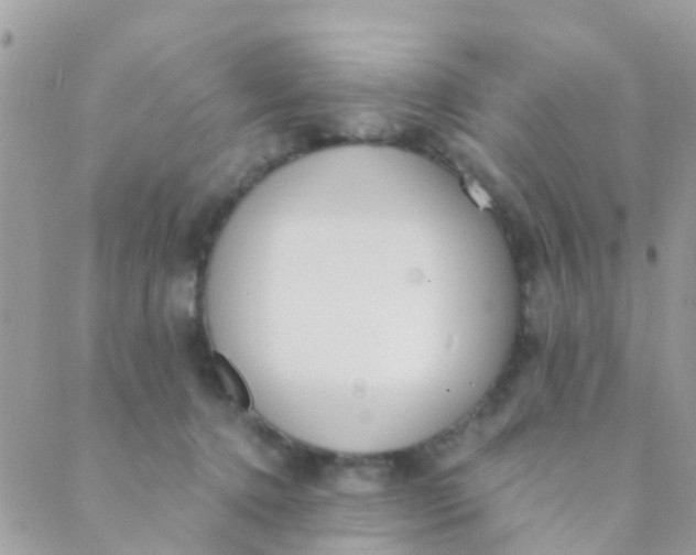 X0000089420368200707061324