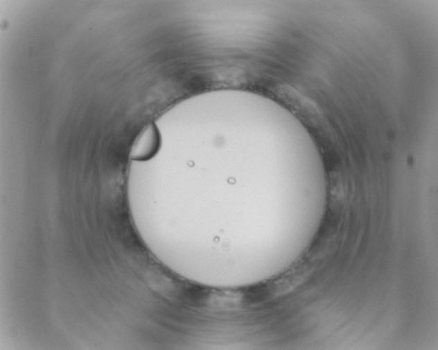 X0000089420369200707061325