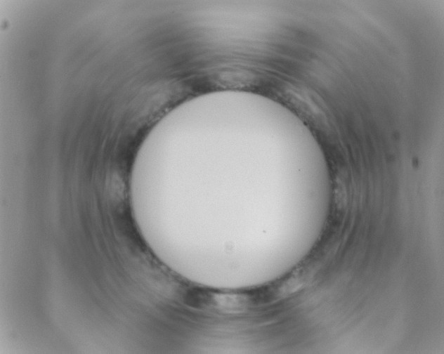 X0000089420371200707061325