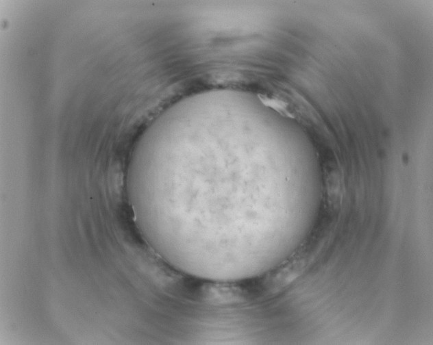 X0000089420372200707061325