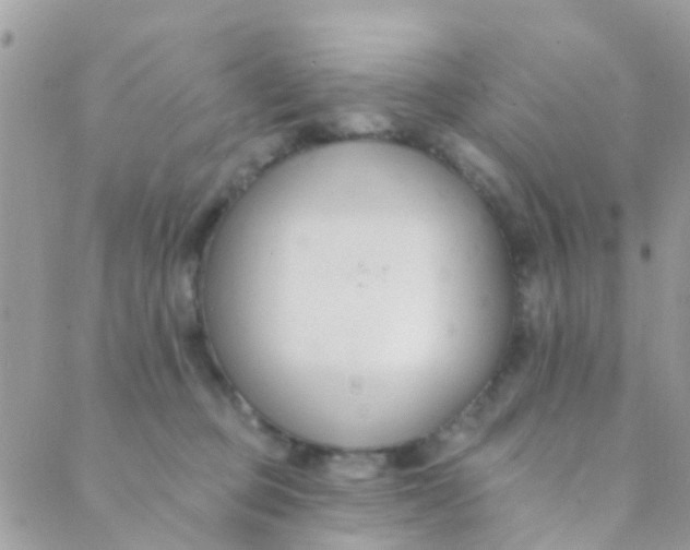 X0000089420373200707061325