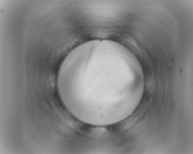 X0000089420374200707061325