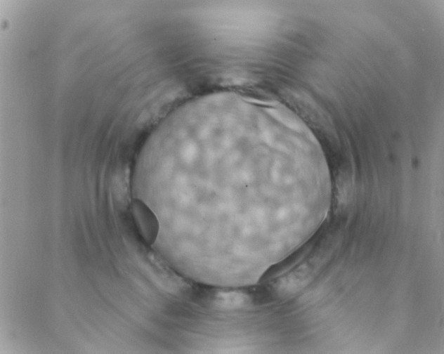 X0000089420376200707061325