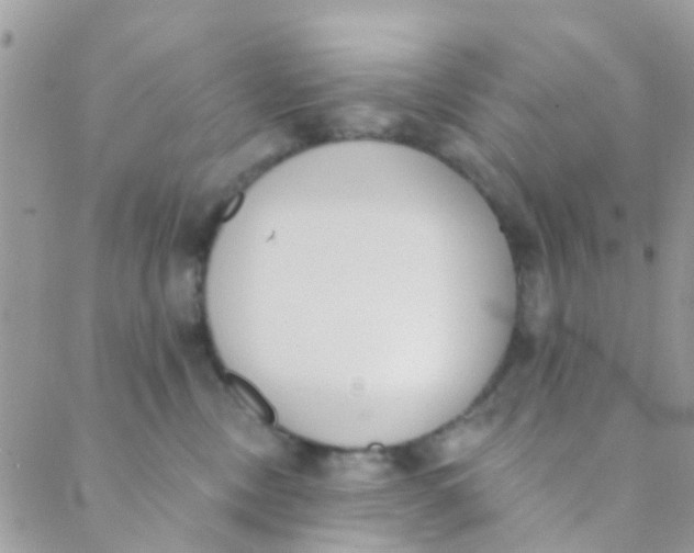 X0000089420378200707061325