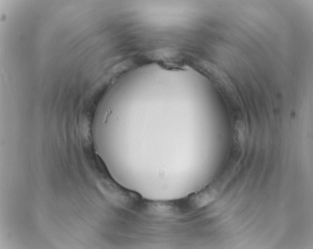 X0000089420380200707061325