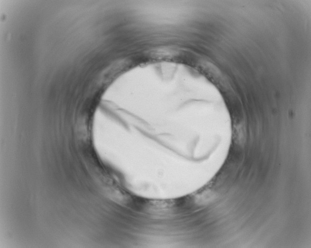 X0000089420381200707061325