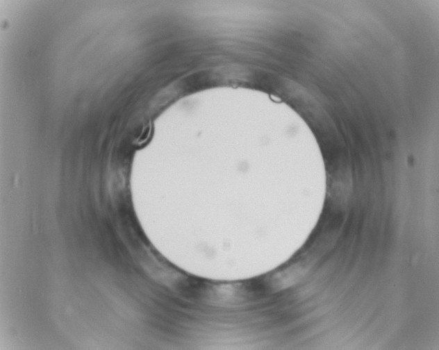 X0000089420382200707061325