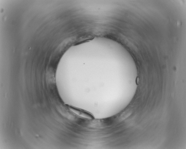 X0000089420384200707061325