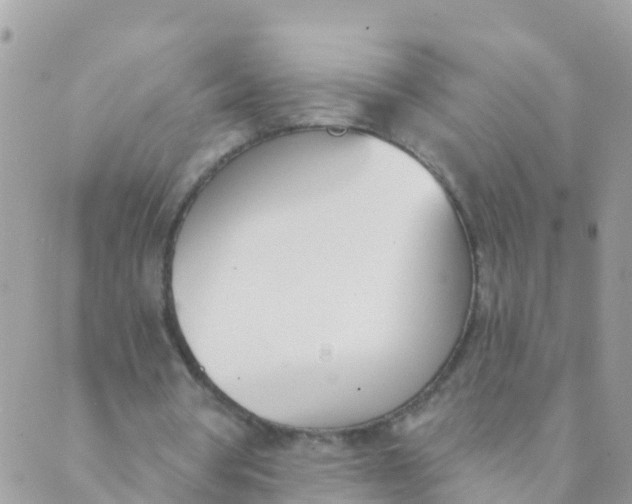 X0000089420386200707061324