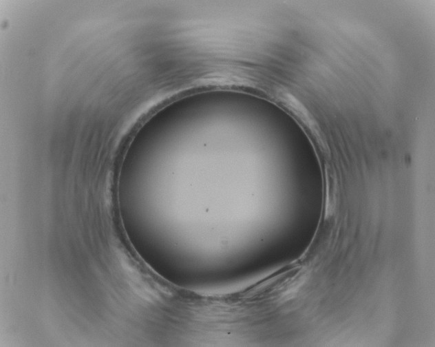 X0000089420387200707061324