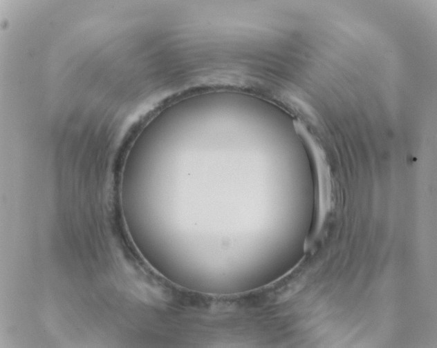 X0000089420388200707061324