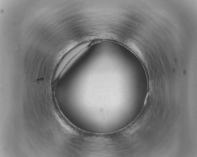 X0000089420389200707061324