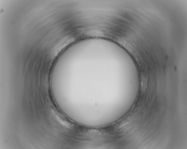 X0000089420390200707061324