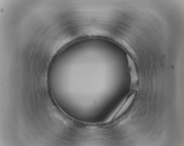 X0000089420391200707061324