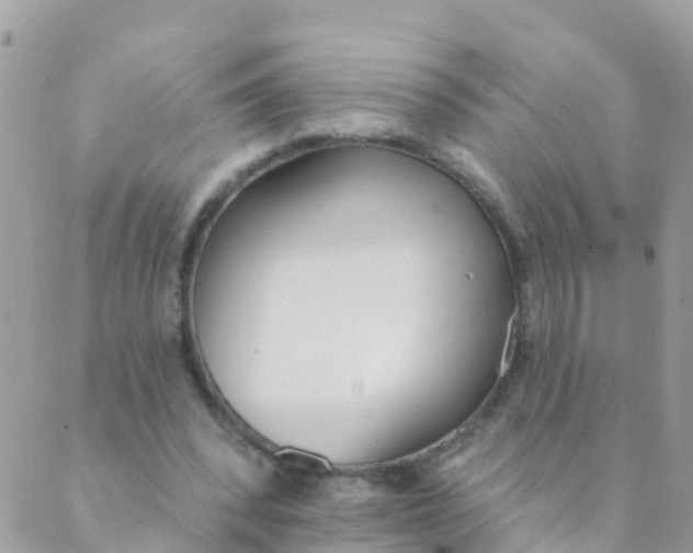 X0000089420392200707061324