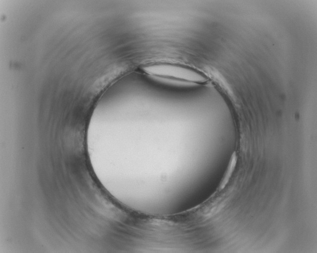 X0000089420393200707061324