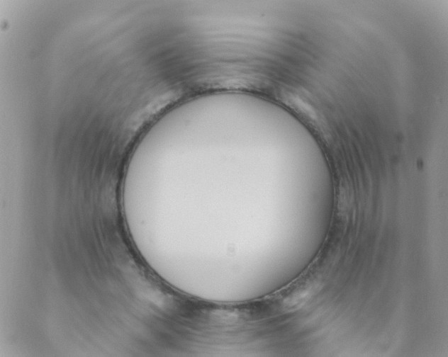 X0000089420394200707061324