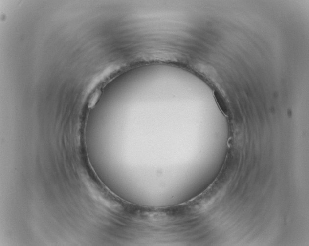 X0000089420395200707061324