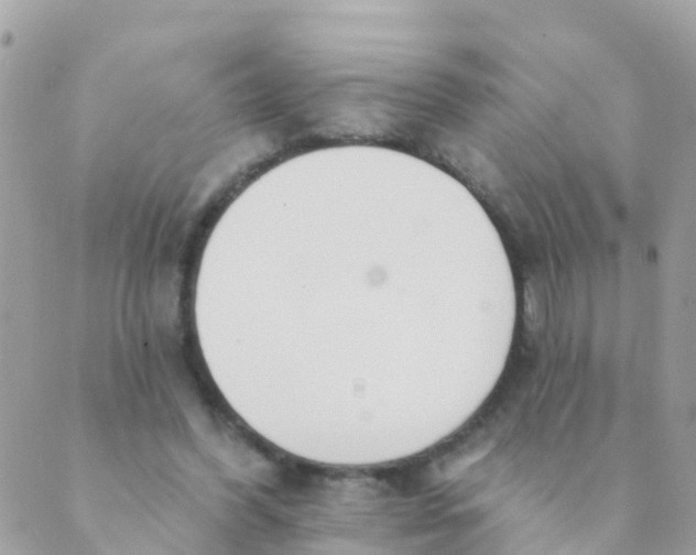 X0000089420396200707061324