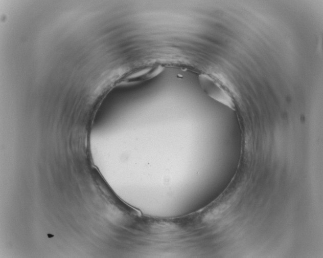 X0000089420397200707061324