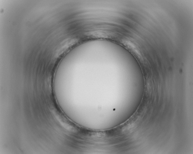 X0000089420398200707061324