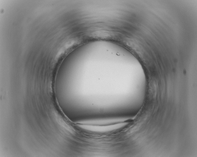 X0000089420399200707061324