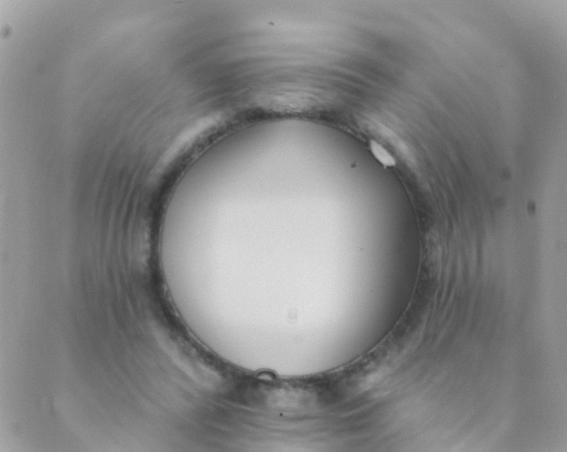 X0000089420400200707061324