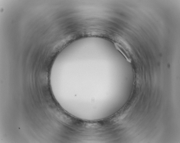 X0000089420401200707061324