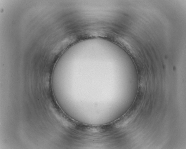 X0000089420402200707061324