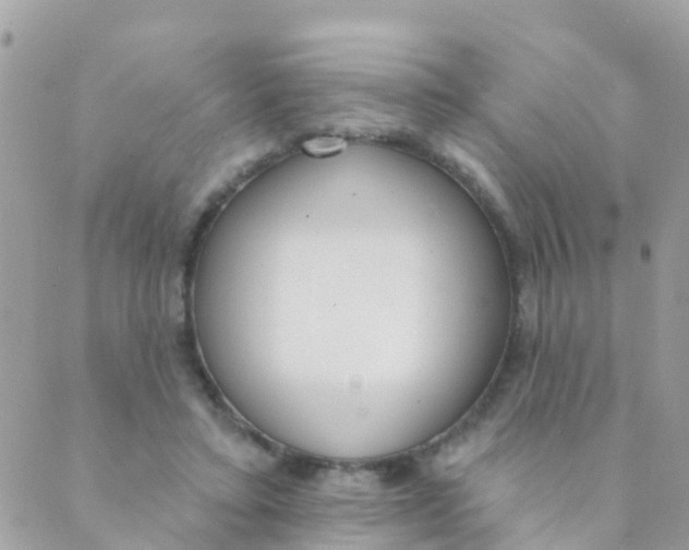 X0000089420403200707061324