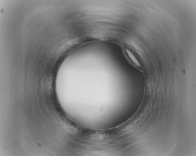 X0000089420404200707061324