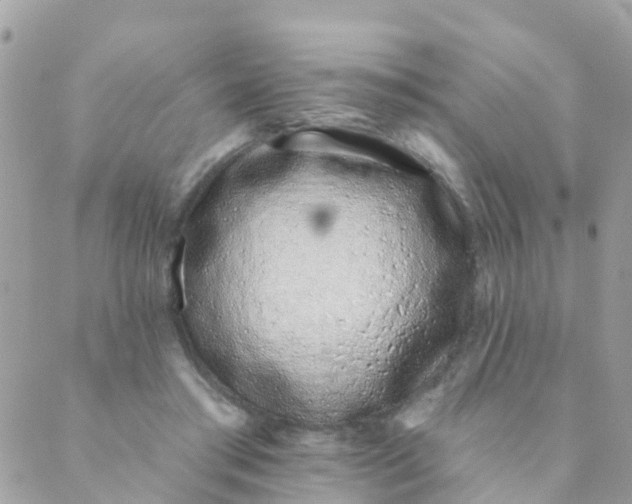 X0000089420405200707061324