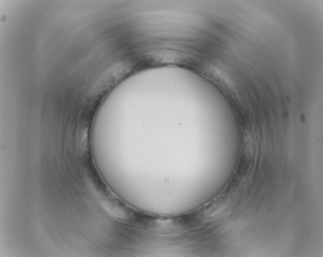 X0000089420406200707061324