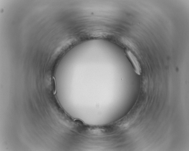 X0000089420407200707061324