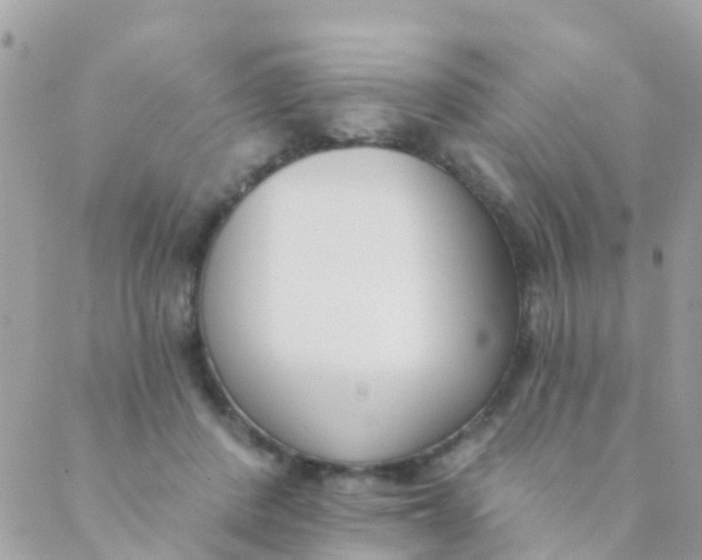 X0000089420408200707061324